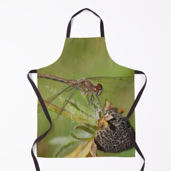 Item preview, A dragonfly on a drying rudbeckia flower designed and sold by Production Art Manon Meilleur.