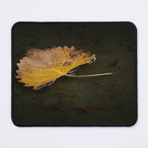 Item preview, Floating Leaf designed and sold by pacfam.