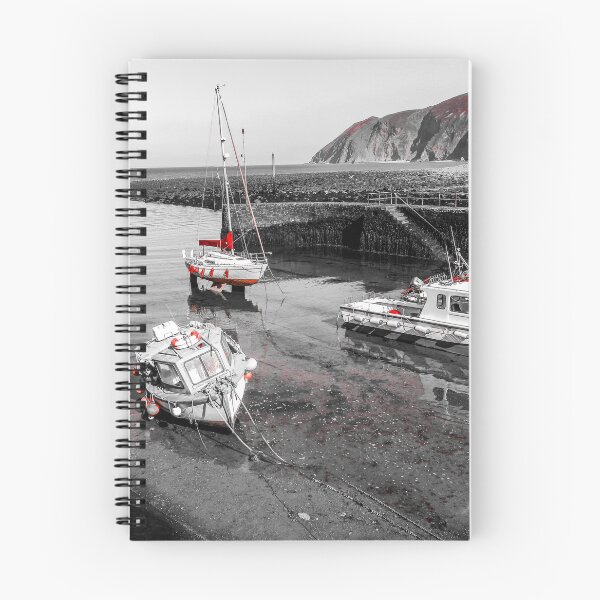 Item preview, Lynmouth Harbour. Devon designed and sold by Hans Peðer Alfreð .