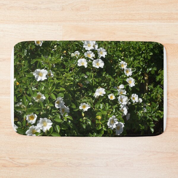 Item preview, Rose Hedge in Beverley Western Australia designed and sold by Michaela Perryman.