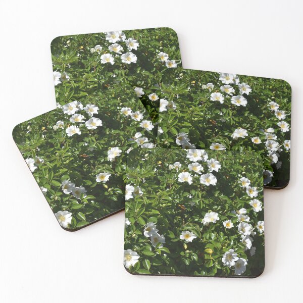 Item preview, Rose Hedge in Beverley Western Australia designed and sold by Michaela Perryman.