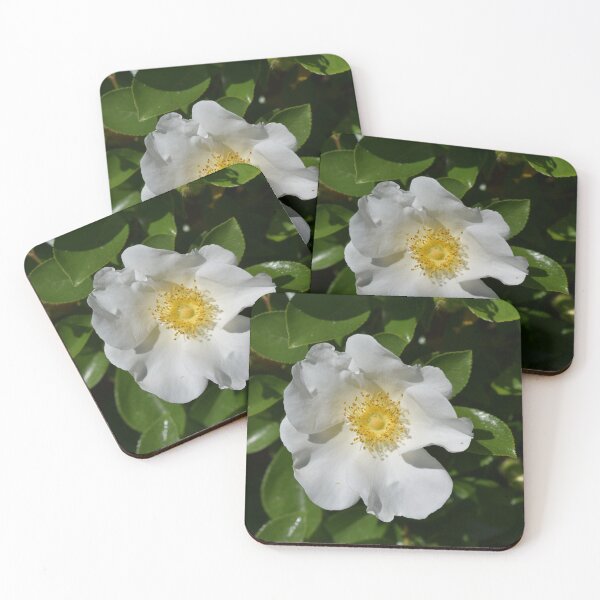 Item preview, White Rose on Dark Green Leaves designed and sold by Michaela Perryman.