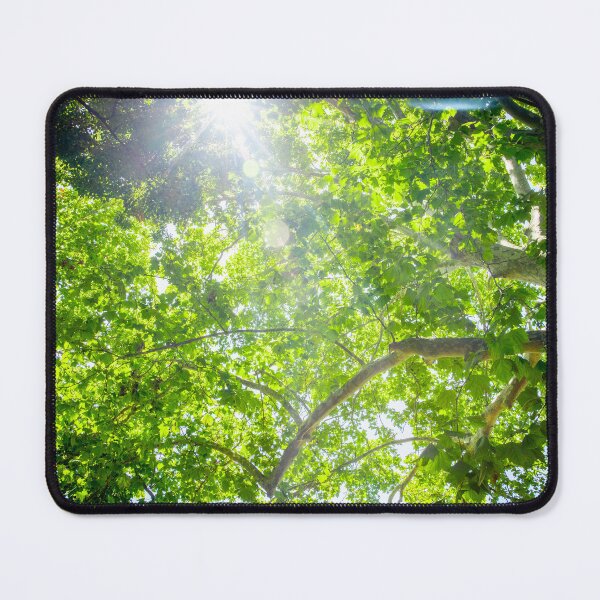 Item preview, Through the Trees designed and sold by melkoutchavlis.