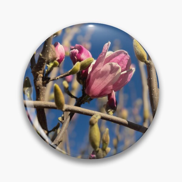 Item preview, magnolia primaveral designed and sold by rani.
