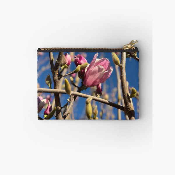 Aperçu de l'œuvre magnolia printanier créée et vendue par rani.