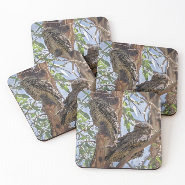 Item preview, Towny Frogmouth Family designed and sold by Jan Fijolek.