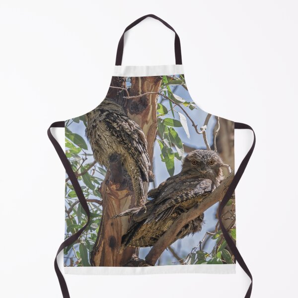 Item preview, Towny Frogmouth Family designed and sold by Jan Fijolek.