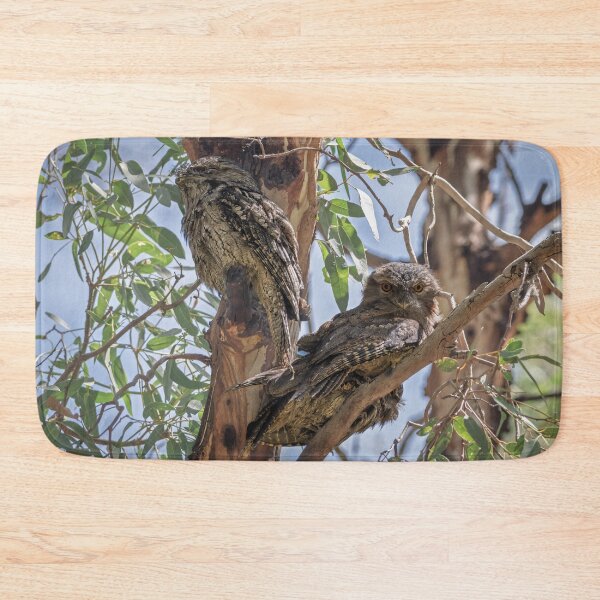 Item preview, Towny Frogmouth Family designed and sold by Jan Fijolek.