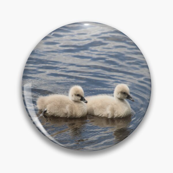 Item preview, Twins of a Black Swan designed and sold by Michaela Perryman.