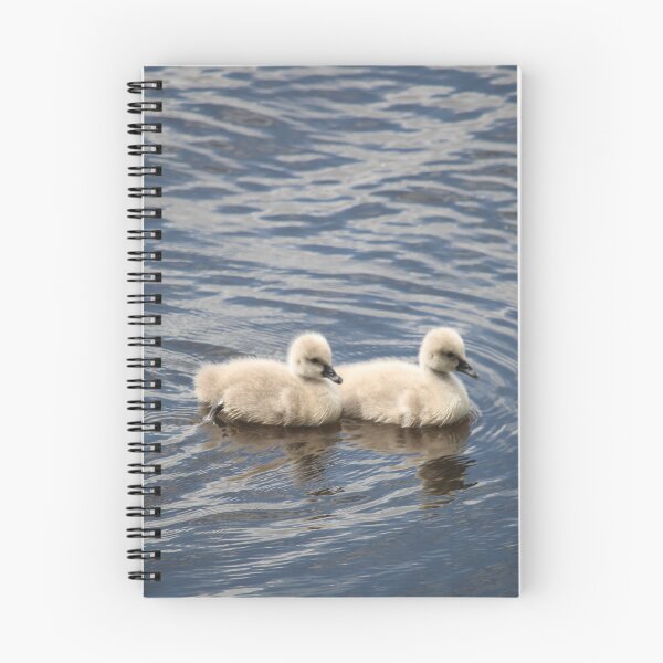 Item preview, Twins of a Black Swan designed and sold by Michaela Perryman.