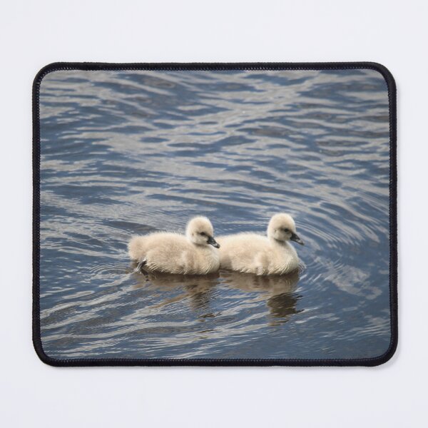 Item preview, Twins of a Black Swan designed and sold by Michaela Perryman.