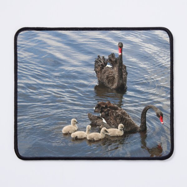 Item preview, Black Swan Family designed and sold by Michaela Perryman.