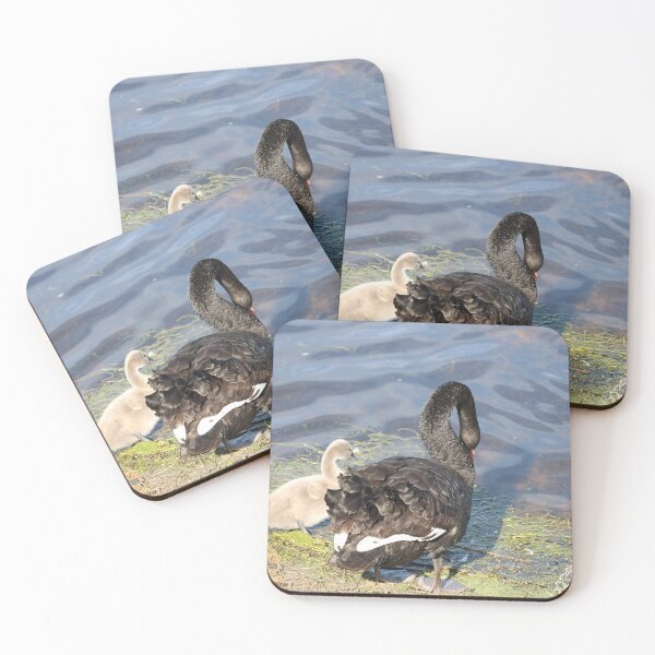 Item preview, Black Swan and Cygnet designed and sold by Michaela Perryman.