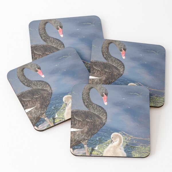 Item preview, Black Swan and Cygnet Interaction designed and sold by Michaela Perryman.
