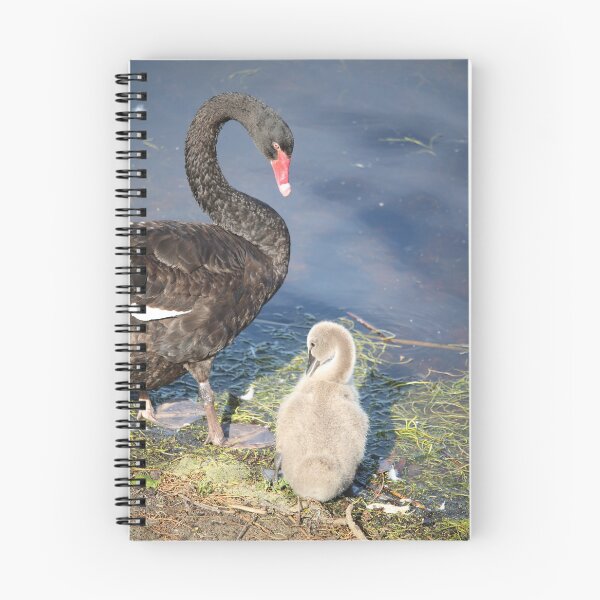 Item preview, Black Swan and Cygnet Interaction designed and sold by Michaela Perryman.