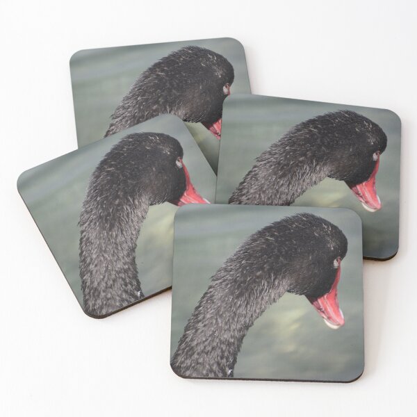 Item preview, Black Swan Keeping an Eye Open designed and sold by Michaela Perryman.
