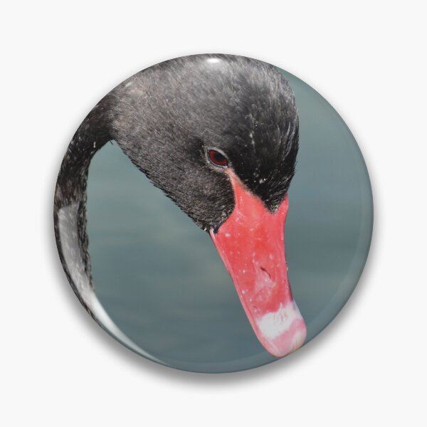 Item preview, Lovely Face of a Black Swan designed and sold by Michaela Perryman.