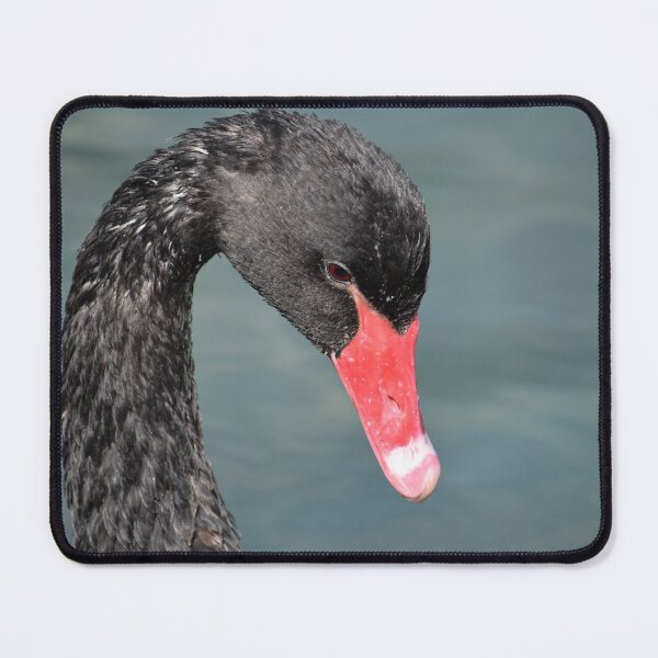 Item preview, Lovely Face of a Black Swan designed and sold by Michaela Perryman.
