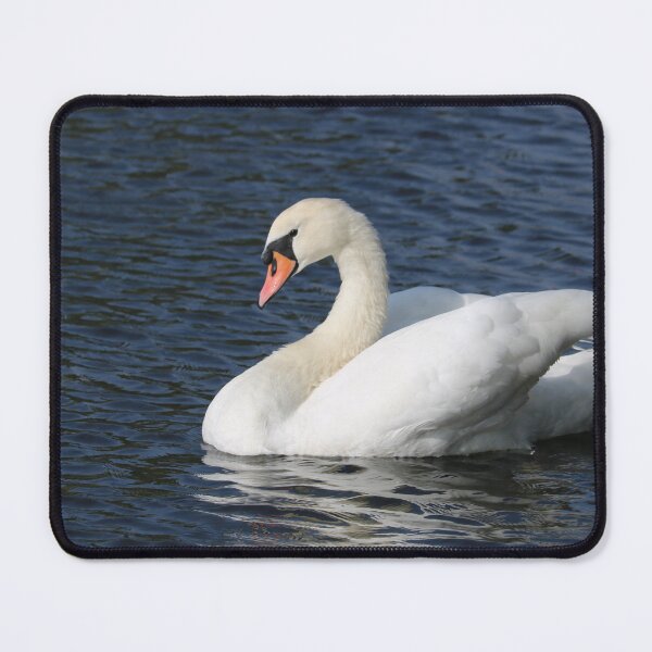 Item preview, Elegant Mute Swan designed and sold by Michaela Perryman.