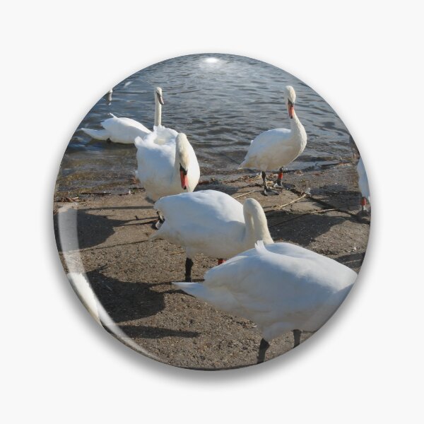 Item preview, Mute Swan Gathering designed and sold by Michaela Perryman.