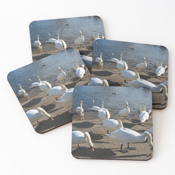 Item preview, Mute Swan Gathering designed and sold by Michaela Perryman.