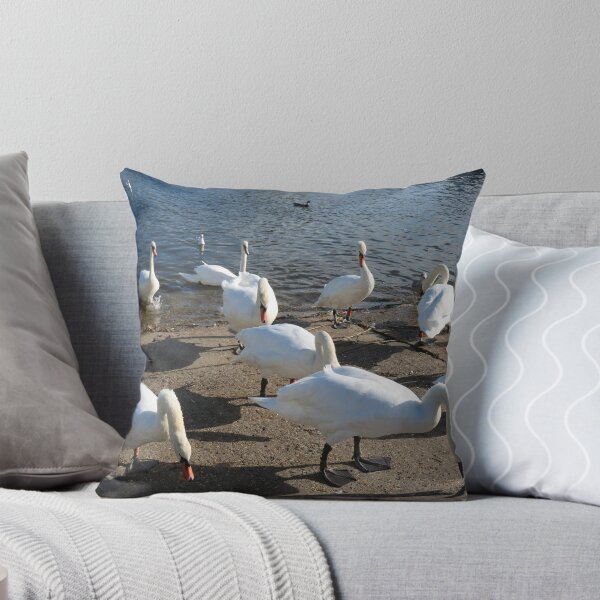 Item preview, Mute Swan Gathering designed and sold by Michaela Perryman.