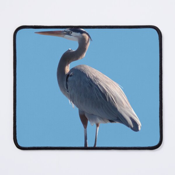 Item preview, Great Blue Heron designed and sold by NeuroDivergent9.