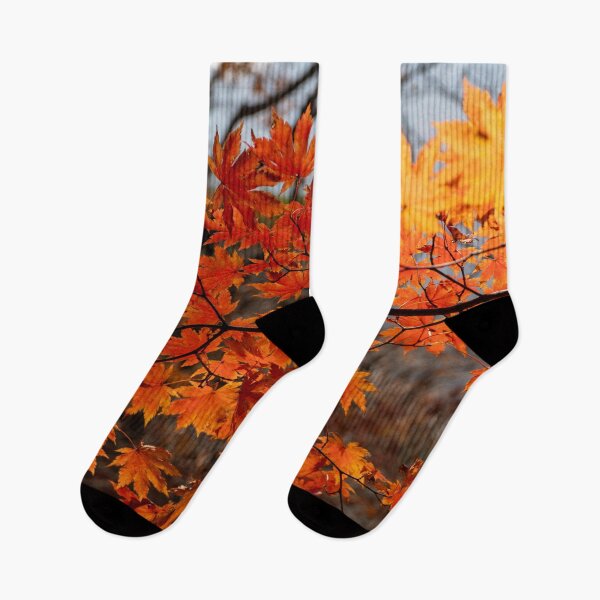 Item preview, Fiery Japanese Maples designed and sold by Julie Navitka.