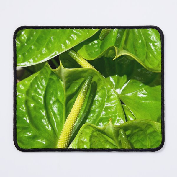 Item preview, Midori Anthurium designed and sold by joeyartist.