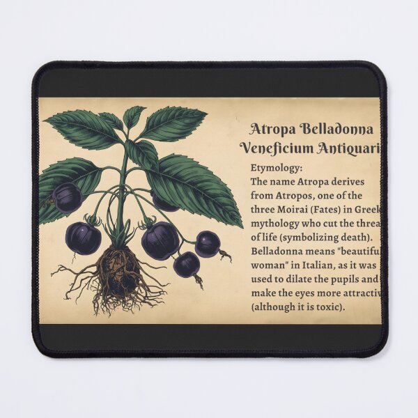 Item preview, Occult Deadly Nightshade | Botanical Herbology T-Shirt | Witchy Atropa Belladonna designed and sold by JACI'S STORE.