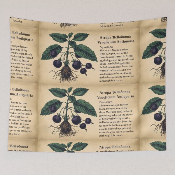 Item preview, Occult Deadly Nightshade | Botanical Herbology T-Shirt | Witchy Atropa Belladonna designed and sold by JACI'S STORE.