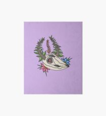 Animal Skull Art Board