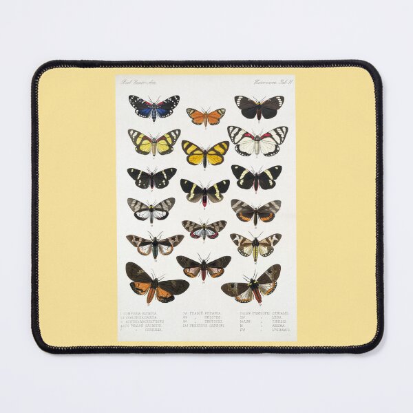 Item preview, Frederick DuCane Godman: Butterflies designed and sold by Tridentulus.