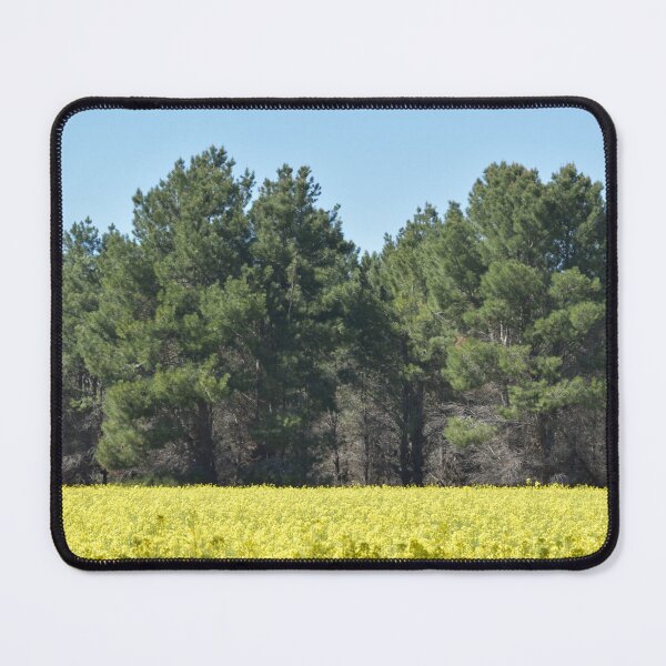 Item preview, Canola Field near Beverley designed and sold by Michaela Perryman.