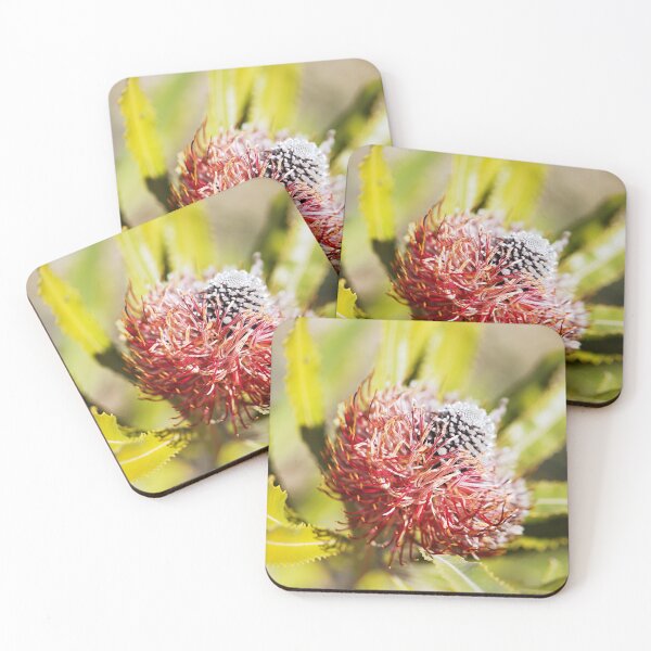 Item preview, Close up of Banksia Flower designed and sold by Joy Watson - Natural Light Photography .