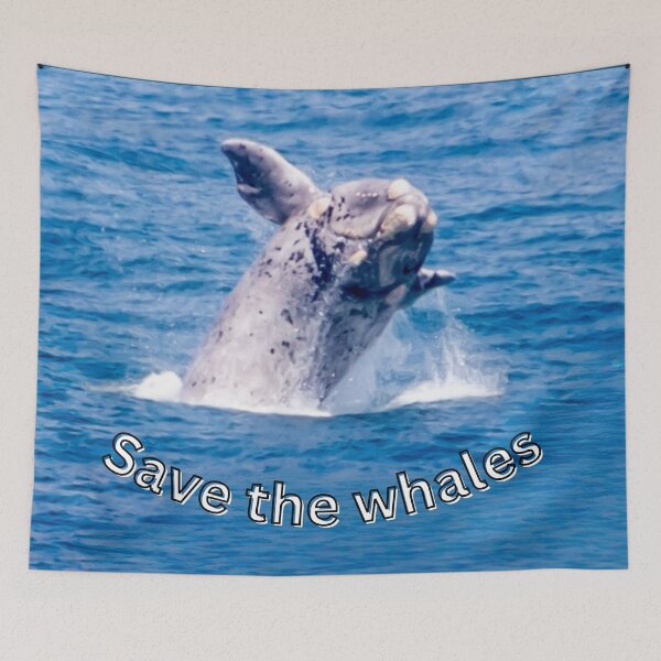 Item preview, Save the Whales - Fascinating nature photo & statement for marine conservation designed and sold by Katja LebenFreude.