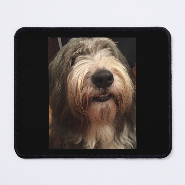 Item preview, I Love Bearded Collies - Beardie Love designed and sold by hieuhieuquan.
