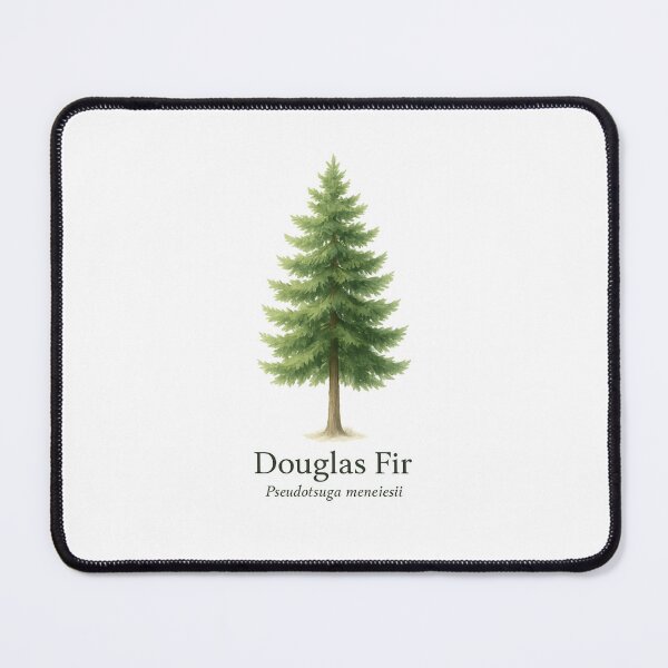 Item preview, Douglas Fir – Pacific Northwest Evergreen Botanical Illustration designed and sold by BloomKind.
