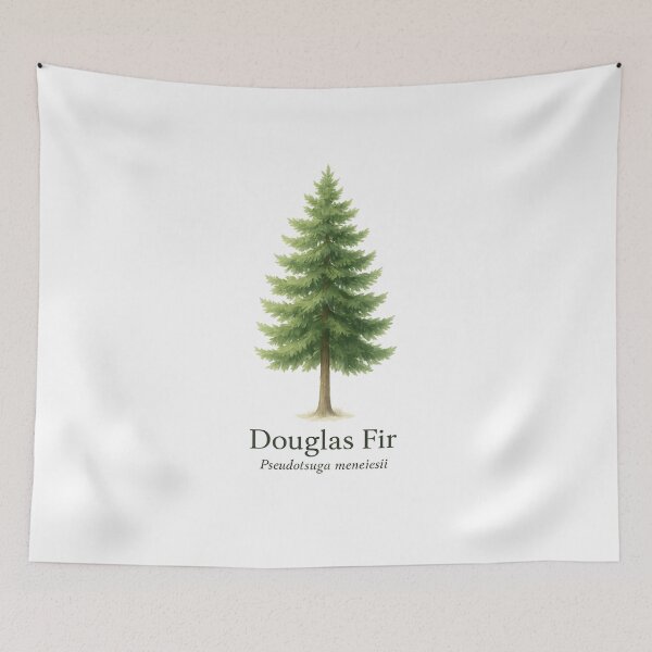 Item preview, Douglas Fir – Pacific Northwest Evergreen Botanical Illustration designed and sold by BloomKind.