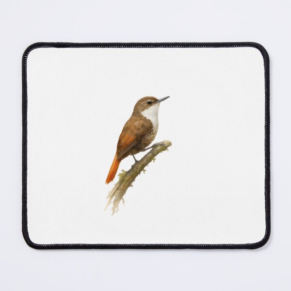Item preview, White-throated Treerunner (Pygarrhichas albogularis) designed and sold by HOMETOWN86.
