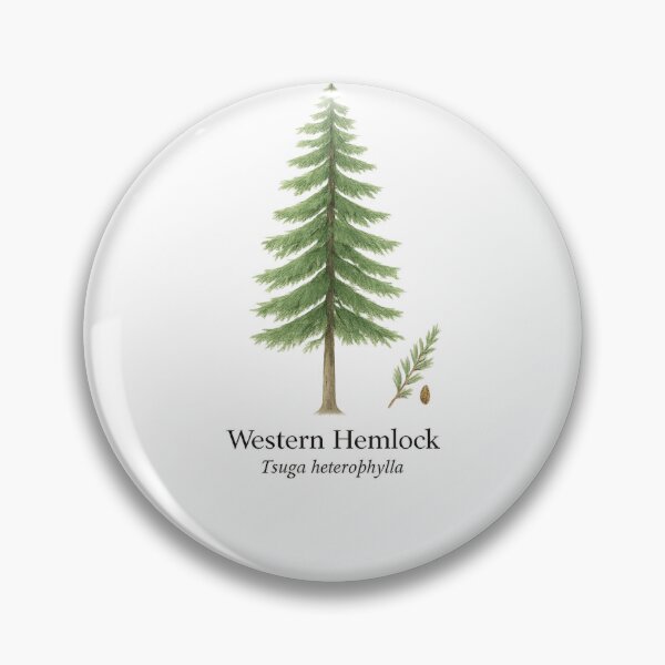 Item preview, Western Hemlock – Pacific Rainforest Evergreen Botanical Illustration designed and sold by BloomKind.