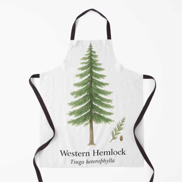 Item preview, Western Hemlock – Pacific Rainforest Evergreen Botanical Illustration designed and sold by BloomKind.