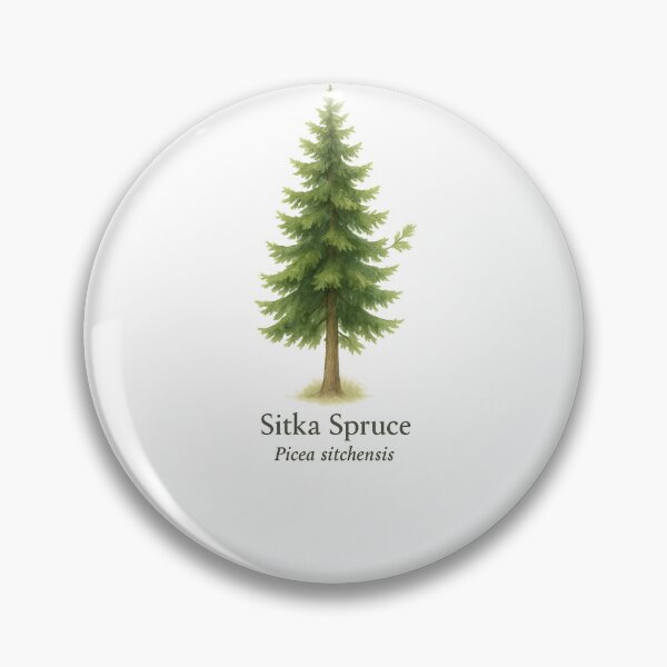 Item preview, Sitka Spruce – Coastal Pacific Evergreen Botanical Illustration designed and sold by BloomKind.