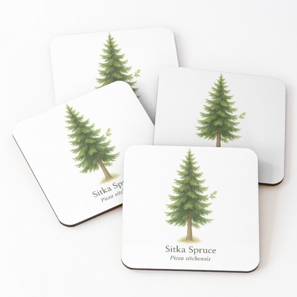 Item preview, Sitka Spruce – Coastal Pacific Evergreen Botanical Illustration designed and sold by BloomKind.