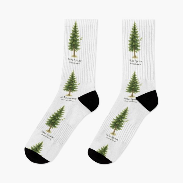 Item preview, Sitka Spruce – Coastal Pacific Evergreen Botanical Illustration designed and sold by BloomKind.