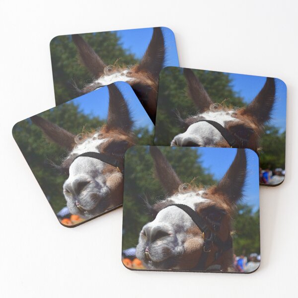 Item preview, Close-up of Curious Llama designed and sold by MercerImages.