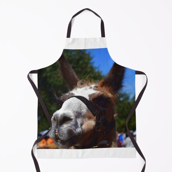 Item preview, Close-up of Curious Llama designed and sold by MercerImages.
