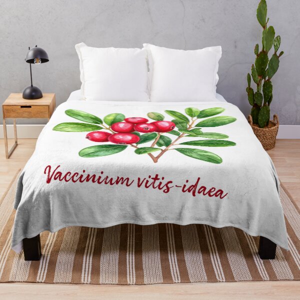 Item preview, Vaccinium vitis-idaea Watercolor Botanical Illustration designed and sold by Litely.