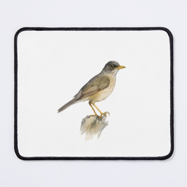 Item preview, Austral Thrush (Turdus falcklandii) designed and sold by HOMETOWN86.