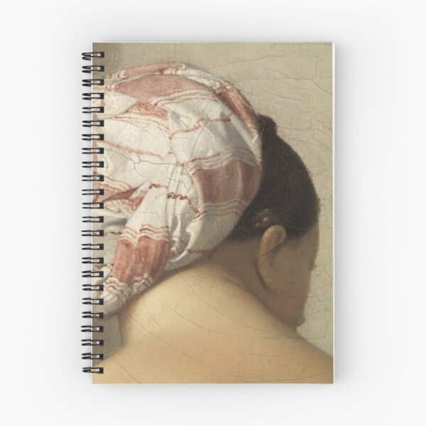 Item preview, The Bather of Valpinçon - Jacques-Louis David designed and sold by Overpryce.